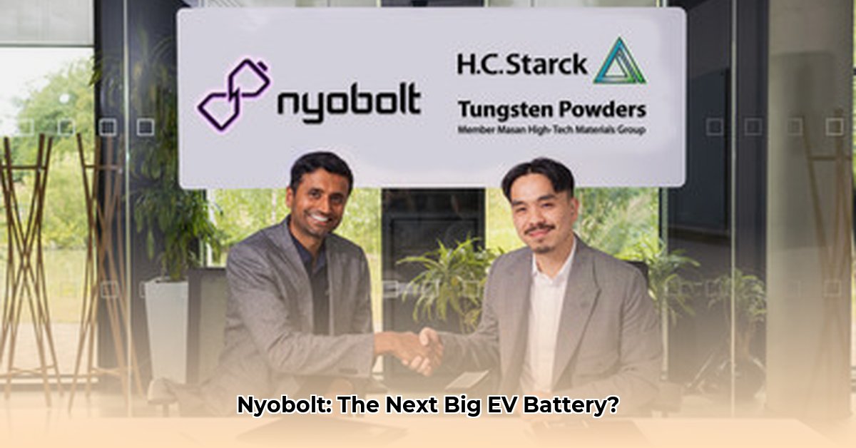 nyobolt-share-price